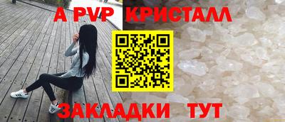 мяу мяу мука Будённовск