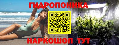 крисы Бузулук