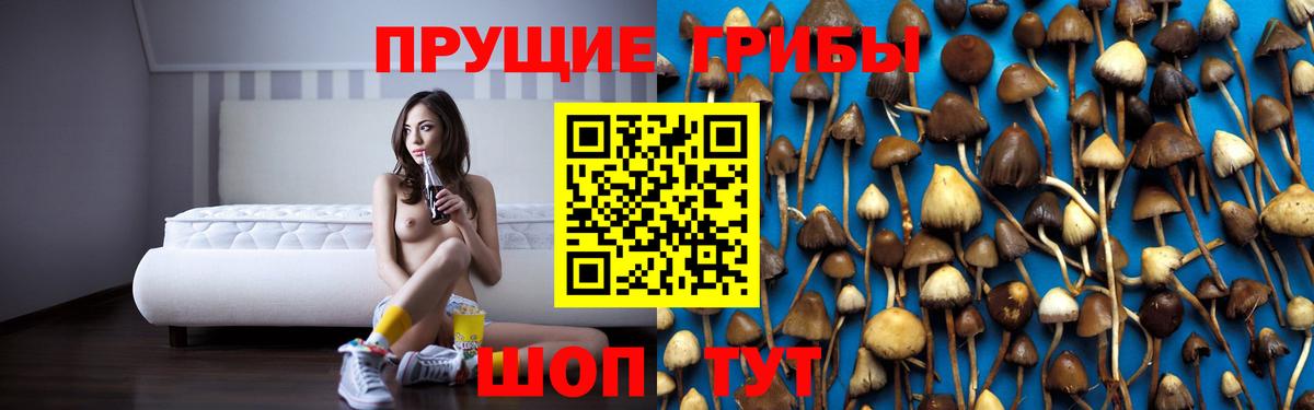 Галлюциногенные грибы Cubensis  Вход с VPN  Рузаевка  Псилоцибиновые грибы Magic Shrooms 
